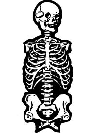 printable articulated skeleton cut outs
