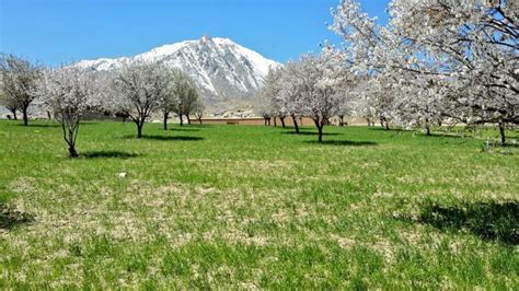 gorgeous photos of afghanistan s peaceful landscapes