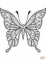 Coloring Zentangle Butterfly Pages sketch template