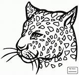 Cheetah Baby Coloring Pages Getdrawings Drawing sketch template