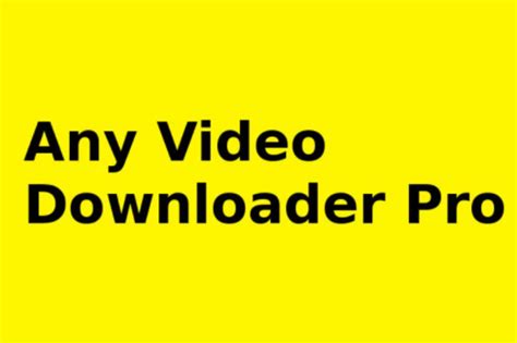 video downloader pro    windows      pc