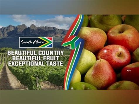 indian consumers embrace south african apples and pears fy 21 sees