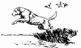 Hunting Jumping Beagle Goodbye Clipartix Geocache Simppeliä Eikö sketch template