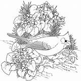 Coloring Pages 1000 Print Printable Adults Bird Getcolorings Color sketch template