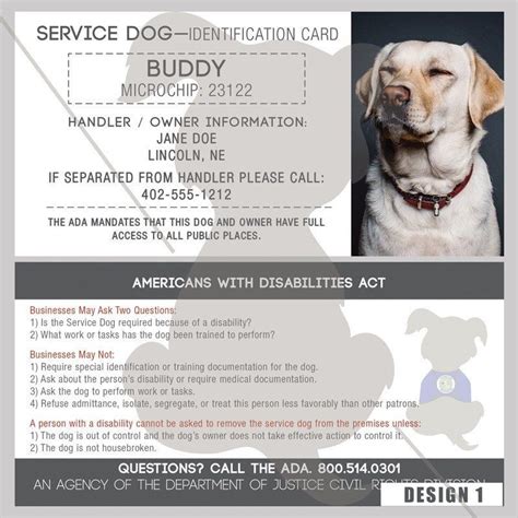 identification cards  customizable   information enter