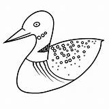 Loon Coloring Pages Common Drawing Colouring Easy Drawings Getcolorings Printable Getdrawings Simple Mono Svg Clipartkey sketch template