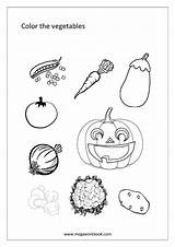 Coloring Worksheets Miscellaneous Vegetables Kindergarten Sheet Megaworkbook Sheets Preschool sketch template