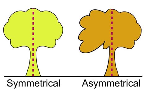 symmetry  asymmetry  design    visual balance