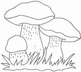 Coloring Mushrooms Pages Grzyby Mushroom Gif Kolorowanka Do Kolorowanki Jesień Grzybek Pilze Malvorlagen Grzyb Malowanki грибы Dla sketch template