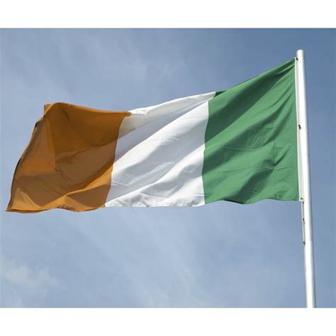 meaning   irish flag colors synonym