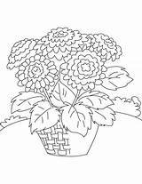 Coloring Chrysanthemum Pages Basket Henkes Kevin Print Color Getcolorings Kids Coloringtop Template sketch template