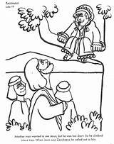 Zacchaeus Zakheus Mewarnai Minggu Lembar Peraga Coloringpagesfortoddlers sketch template