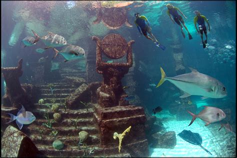dive  snorkel  ruins lagoon  atlantis  loaded  cool ocean animals  ancient