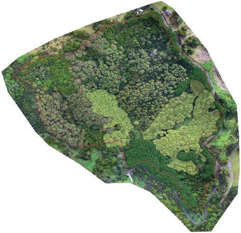 forestry aerial surveying northland aerial vision