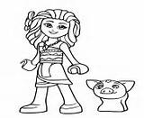 Moana Coloring Pages Pua Disney Lego Pig Printable sketch template