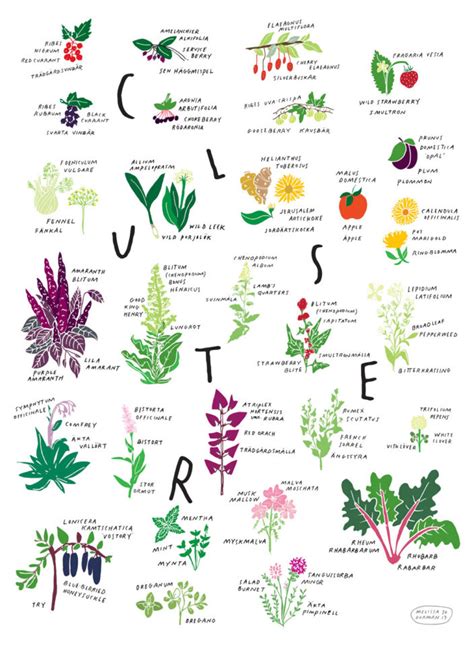 printable edible plants chart printable word searches