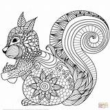 Zentangle Squirrel Entitlementtrap sketch template