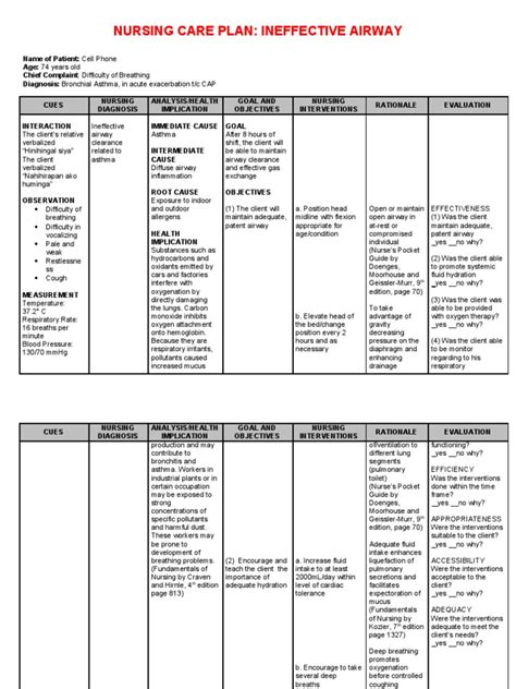 ncp ineffective airway pdf breathing respiratory system