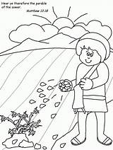 Parable Sower Seminatore Sembrador Parables Denies Mustard Parabola Dominical Religión Departamento Coloringhome Getcolorings sketch template