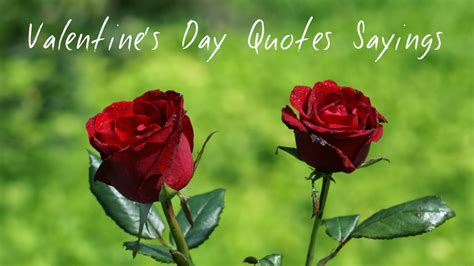 valentine  valentines day  wallpapers happy valentines day quotes sayings
