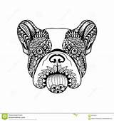 Zentangle Bulldog Stylized sketch template