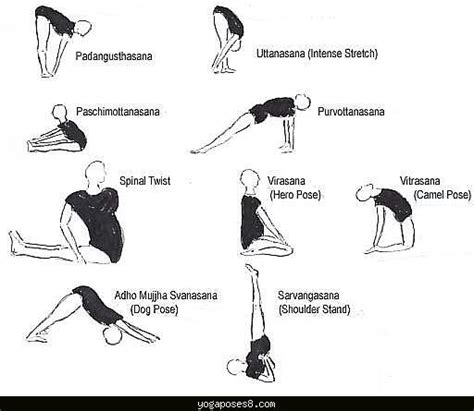 Yoga Asanas With Pictures And Names