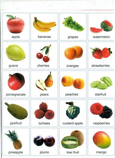 fruits  vegetables list english names  pictures fruits