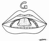 Articulation Phonology Mouths Teaching sketch template