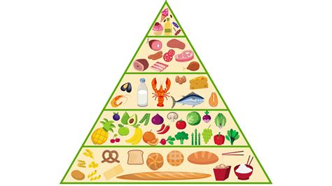 food pyramid nutrition animation motion background storyblocks video