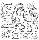 Egel Mushrooms Hedgehog Listopad Druku Gathers Verzamelt Paddestoelen Darmo Lesie Kolorowanek Jesiennych Mytopkid sketch template