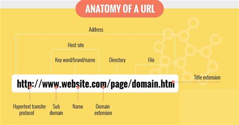 domain  infographic websitespot