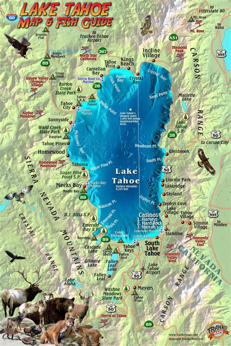 lake tahoe guide fish card frankos maps