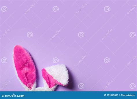 funny easter bunny ears  color background top view stock image