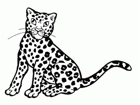 baby cheetah  coloring pages coloring home