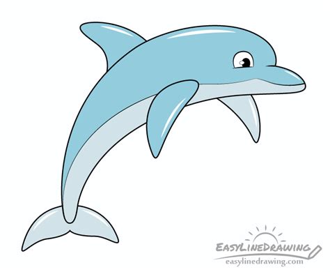draw  dolphin step  step easylinedrawing