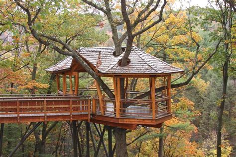 fun kids tree houses picture ideas  examples