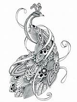 Peacock Coloring Pages Printable Drawing Adults Hanuman Tattoo Color Realistic Ornate Colouring Kids Drawings Baby Pretty Curled Stripes Grey Getdrawings sketch template