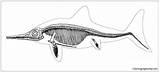 Pages Ichthyosaur Coloring Skeleton Color sketch template