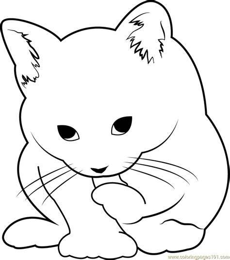 small cute cat coloring page  kids  cat printable coloring