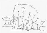 Elefant Jumbo Colorat Elephants Ausmalbild Planse Malvorlage Ausmalbilder Malvorlagen Coloriage Desene Ausdrucken Elmar sketch template