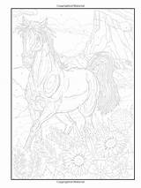 Coloring Pages Amazon Haven Creative Horse Books Number Color Horses Book sketch template