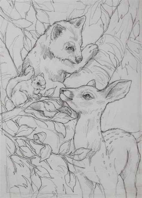 jody bergsma animal drawings drawings coloring pages