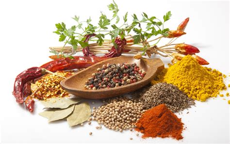 magical health benefits  indian food bms bachelor  management