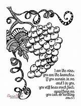 Vine Branches Grapevine Vines Tangle Scripture sketch template