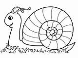 Schnecke Snail Schnecken Basteln Malvorlagen Escargot sketch template