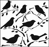 Bird Stencil Birds Template Stencils Printable Workshop Plastic Designs Patterns Templates Crafters 1000 Coloring Google Glass Print Cut Popular sketch template