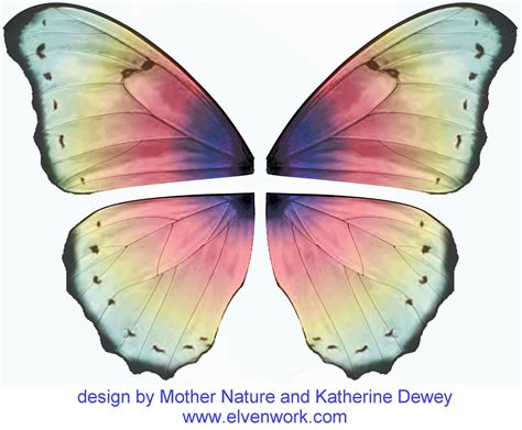 fairy wing designs  katherine dewey fairy wings butterfly template