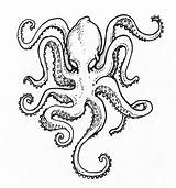 Octopus Drawing Outline Tattoo Squid Kraken Realistic Drawings Simple Tattoos Sketch Line Draw Painting Flash Sleeve Clip Getdrawings Illustration Falcon sketch template