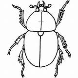 Beetle Coloring Pages Dung Color sketch template