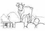 Coloring Goat Pages Colorkid sketch template
